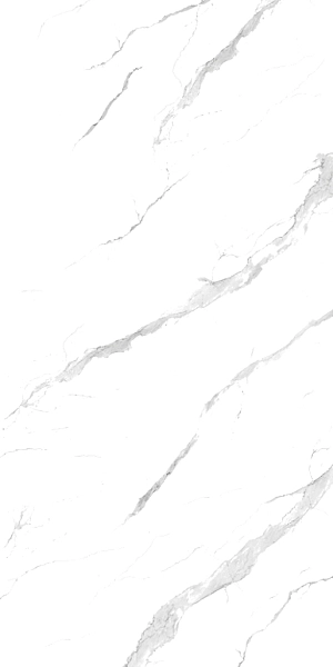 67400 Statuario 120x240