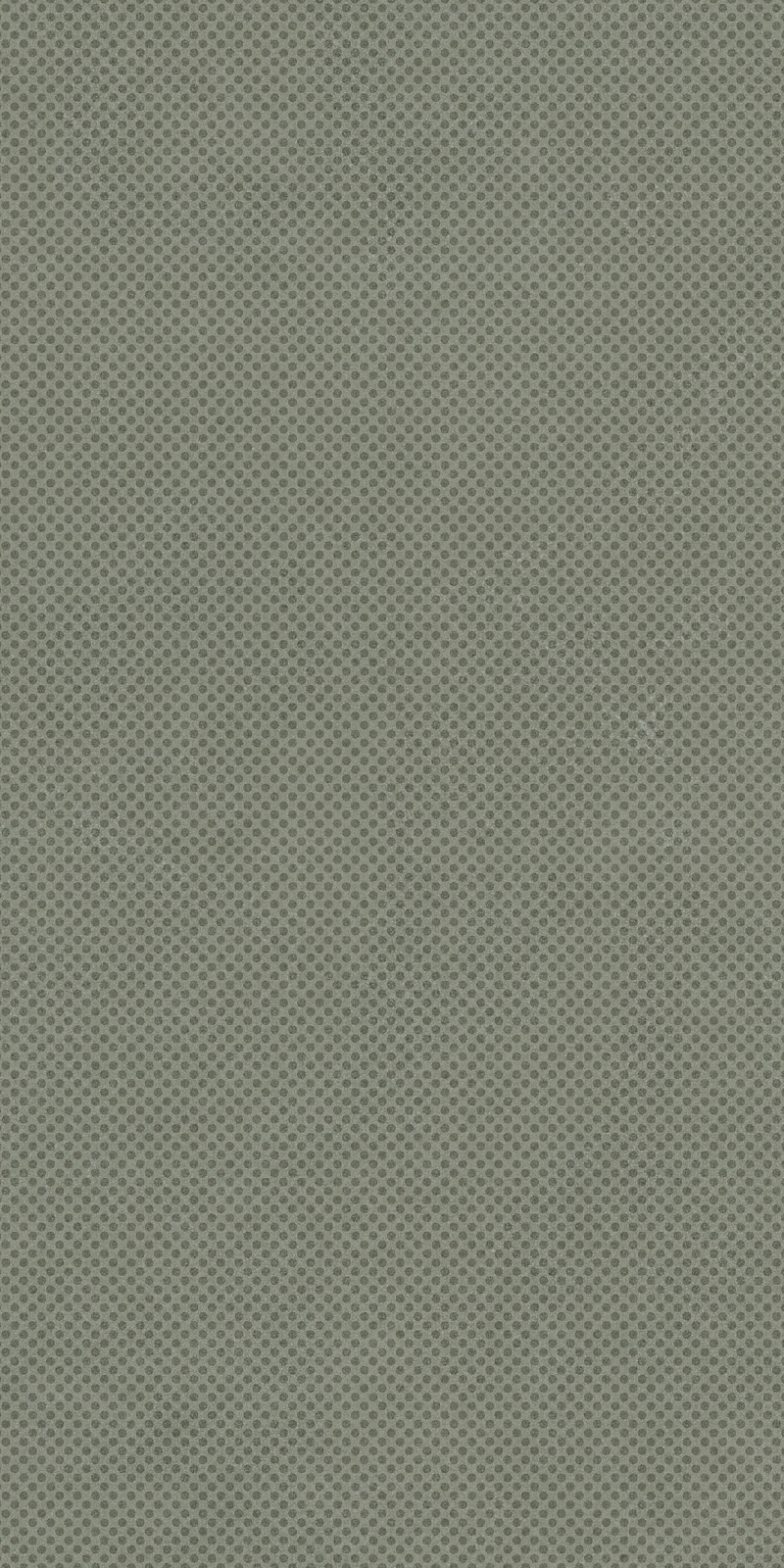 PAT6 SALVI36 RM 30x60