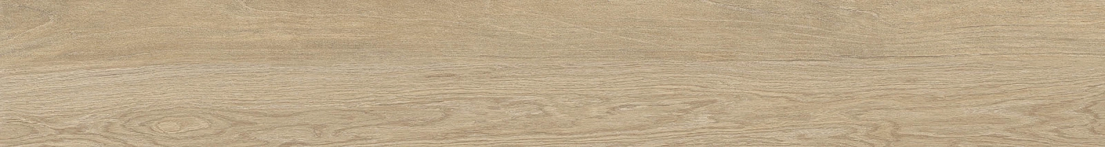 ELXR6 2015BS RM 20x150