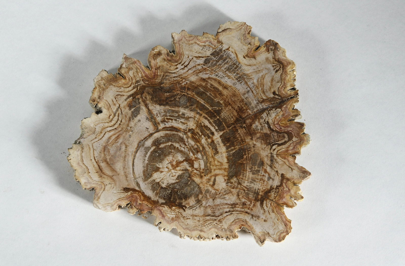 Декоративное блюдо 3P1RNM-19 25х25х2