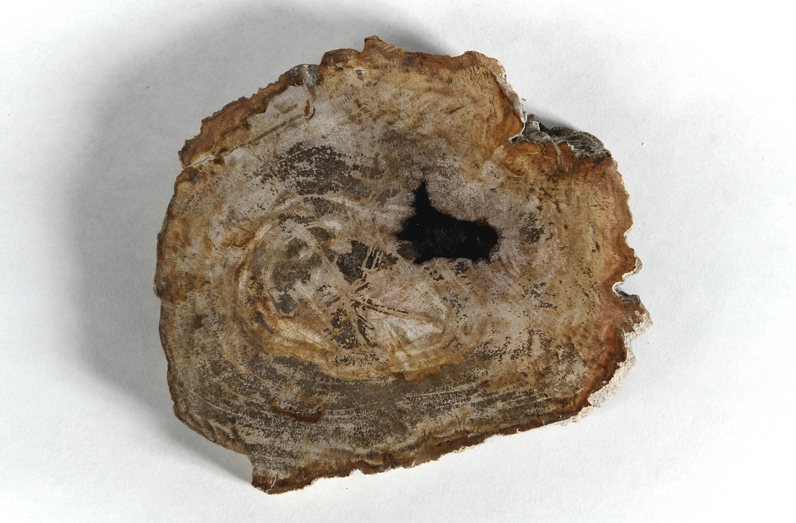 Декоративное блюдо 3P1RNM-31 23х23х2