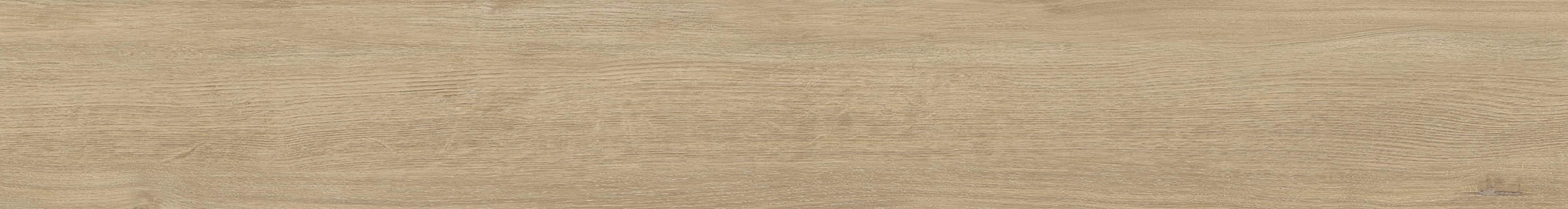 ELXR6 2015BS RM 20x150