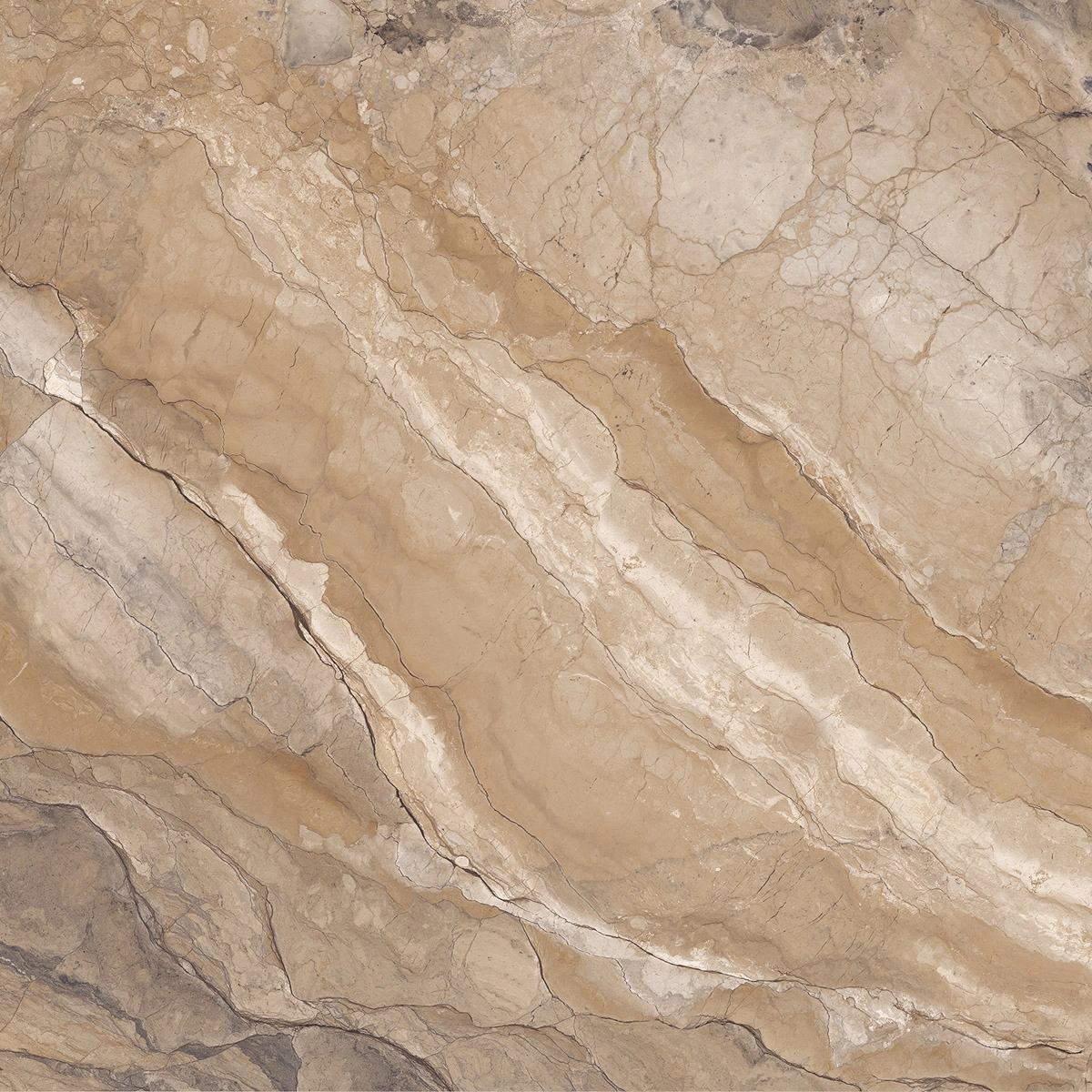 OR ILL 60 LP 60x60