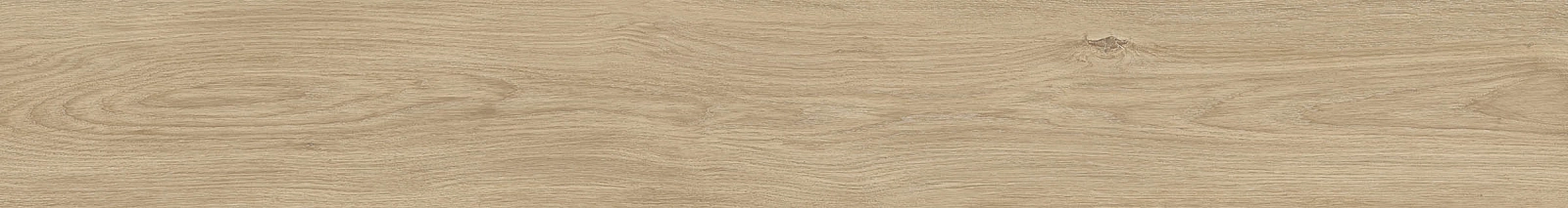 ELXR6 2015BS RM 20x150