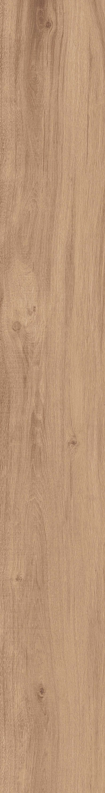 DAMA6 2015BS RM 20x150