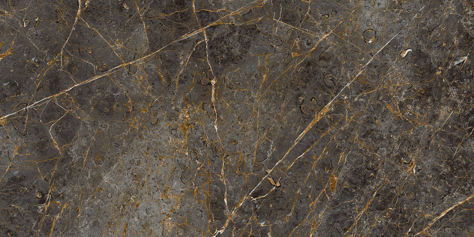 AE GOL6 12 LP 60x120