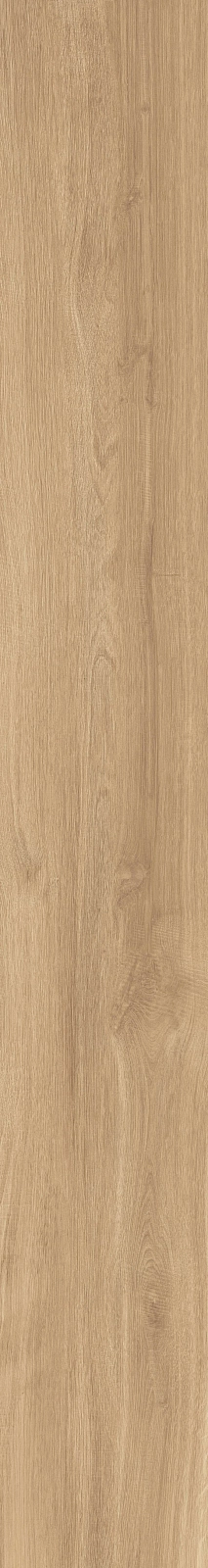 DAMA6 2015HY RM 20x150