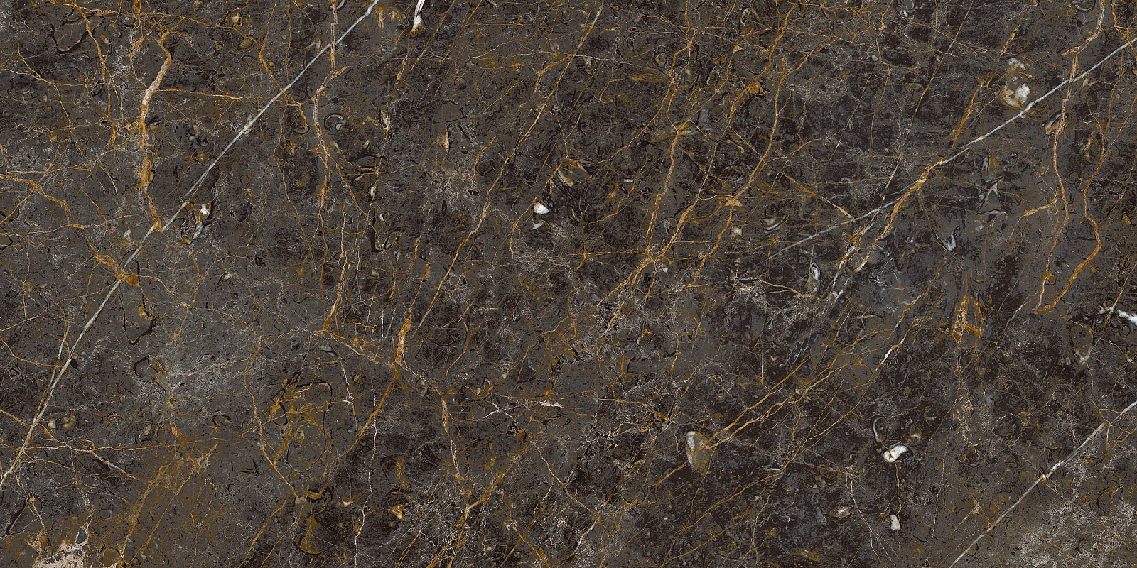 AE GOL6 12 LP 60x120