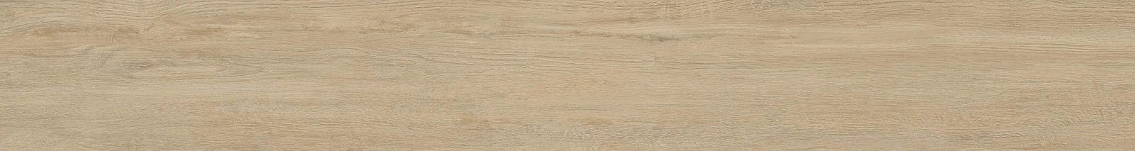 ELXR6 2015BS RM 20x150