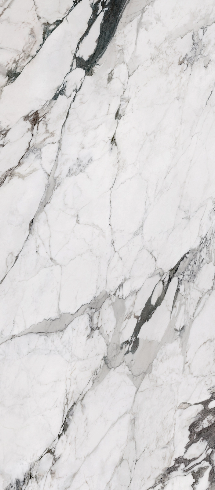 72100 Arabescato Matt 120x240