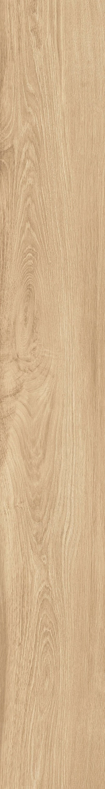 DAMA6 2015HY RM 20x150