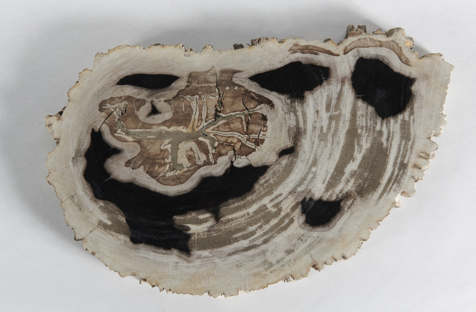 Декоративное блюдо 3P1RNB-65 46х27х3