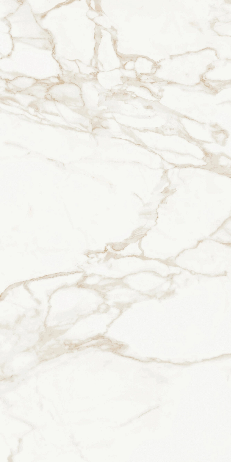 Marmo Calacatta Polished 9128 60x120