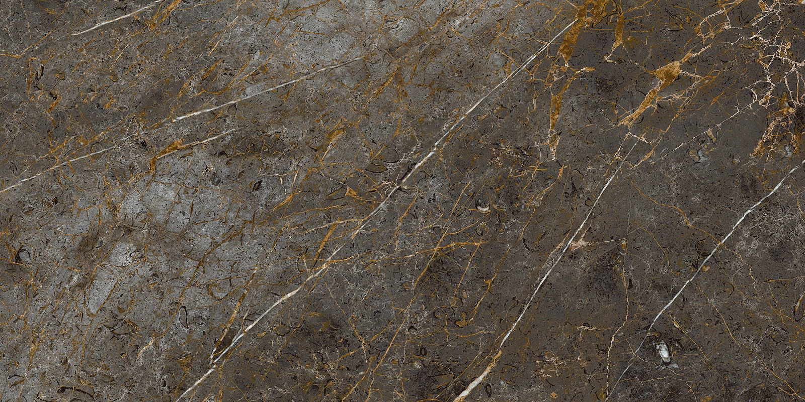 AE GOL6 12 RM 60x120