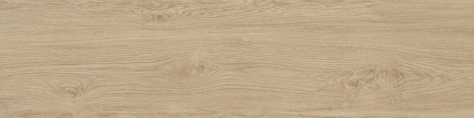 ELXR3012BS ASRM 30x120