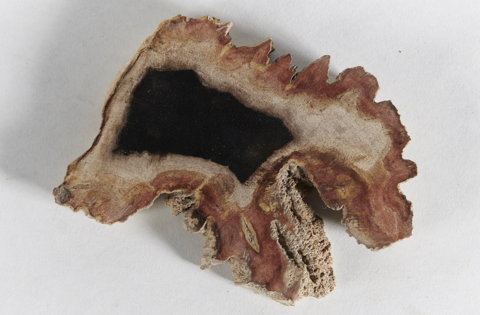 Декоративное блюдо 3P1RNB-73 40х32х2