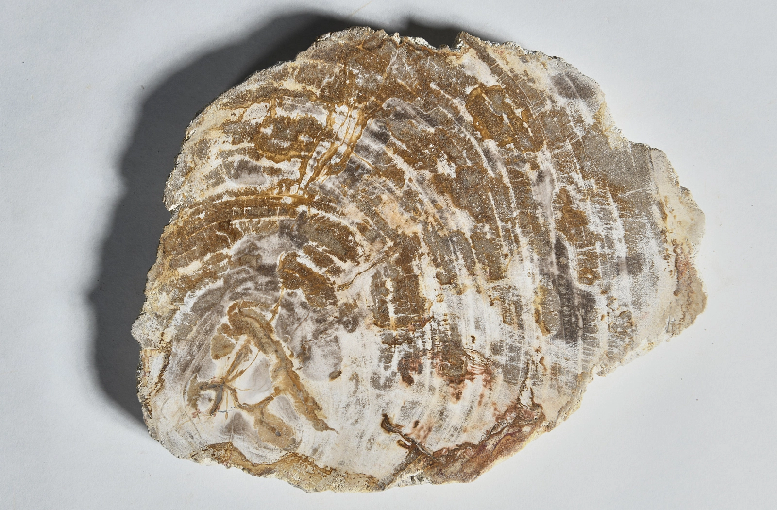 Декоративное блюдо 3P1RNM-24 28х22х2