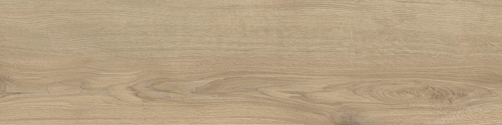 ELXR3012BS ASRM 30x120