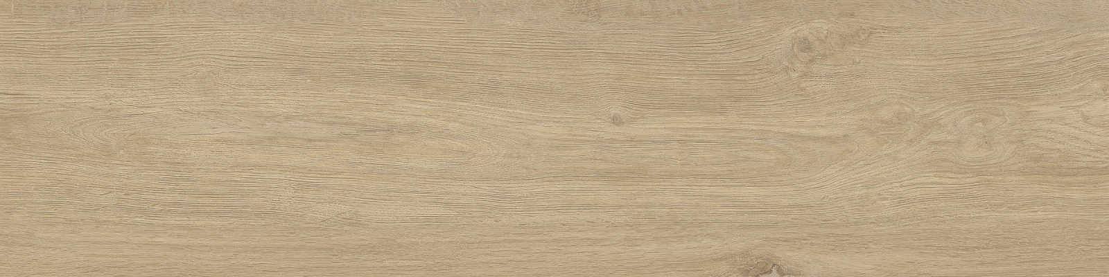 ELXR3012BS ASRM 30x120