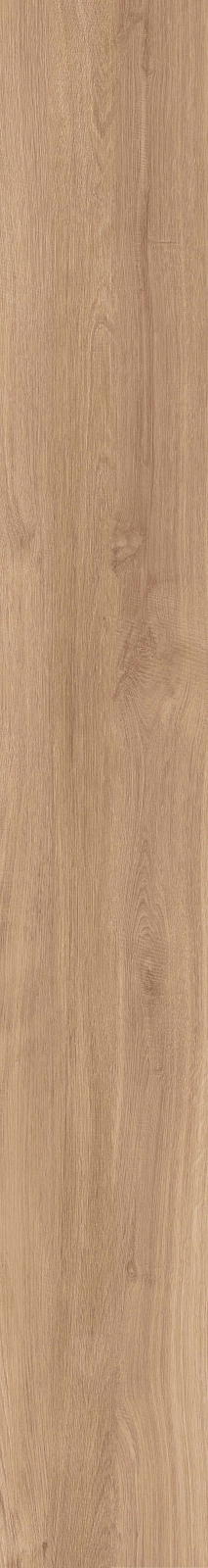 DAMA6 2015BS RM 20x150