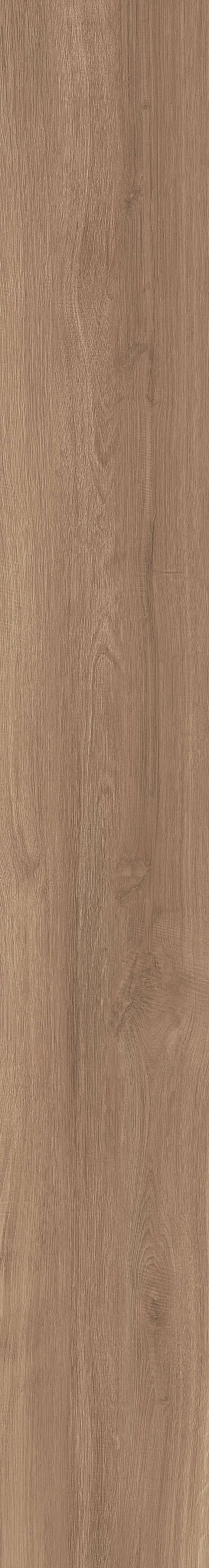 DAMA6 2015NO RM 20x150