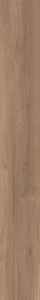 DAMA6 2015NO RM 20x150