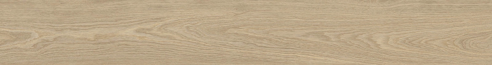 ELXR6 2015BS RM 20x150