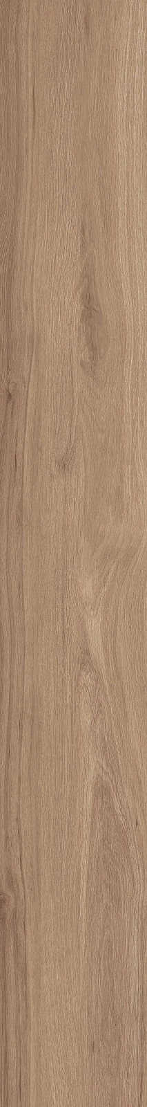 DAMA6 2015NO RM 20x150