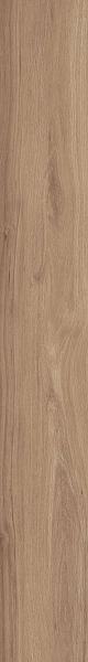 DAMA6 2015NO RM 20x150