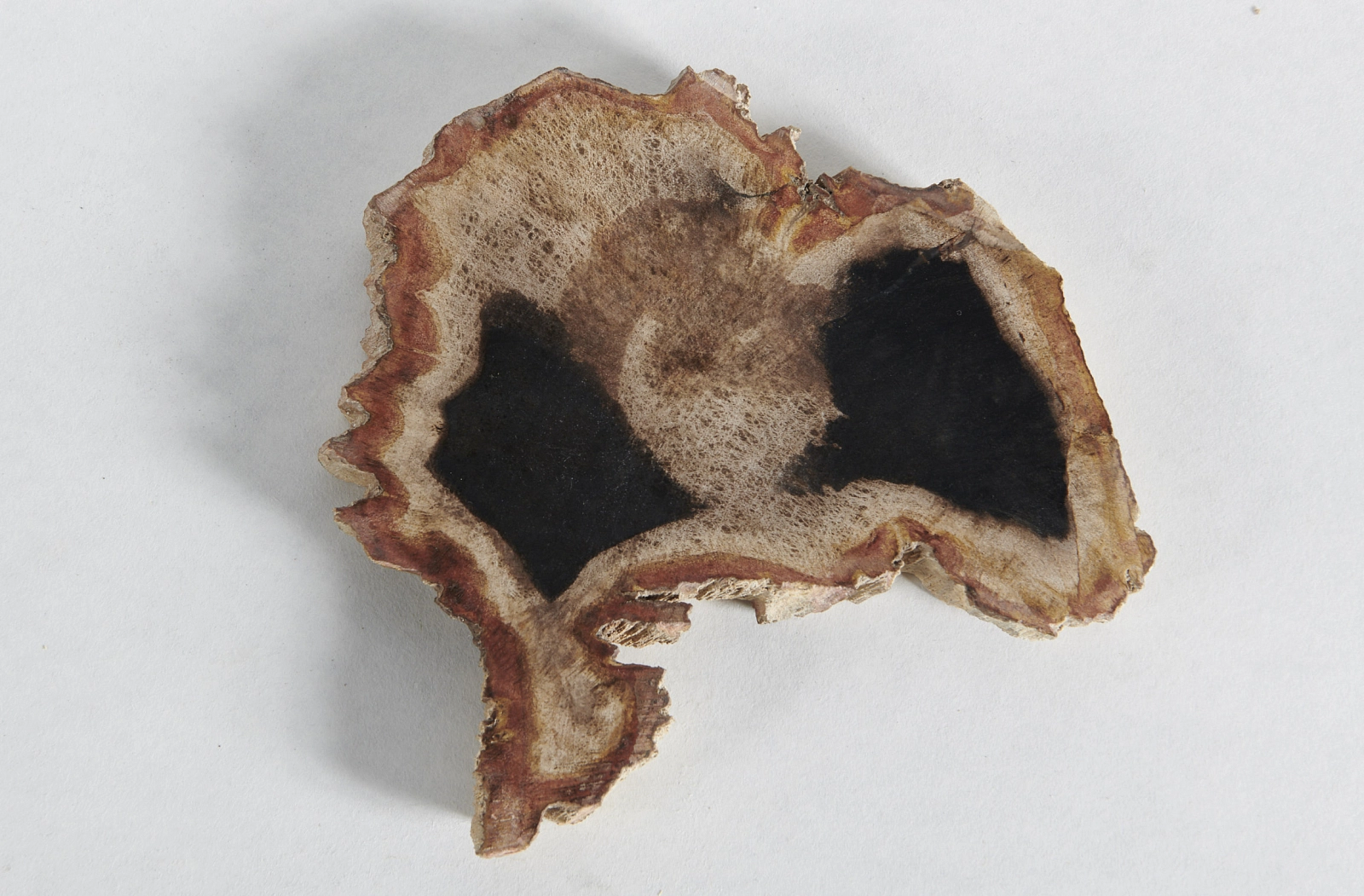 Декоративное блюдо 3P1RNS-32 20х18х2