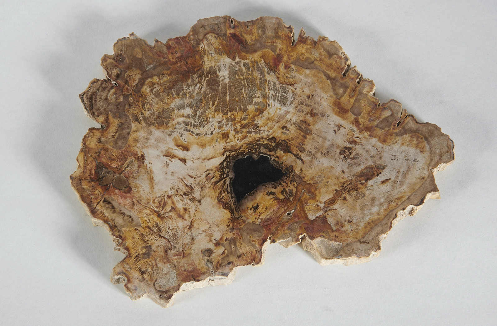 Декоративное блюдо 3P1RNM-06 27х24х2