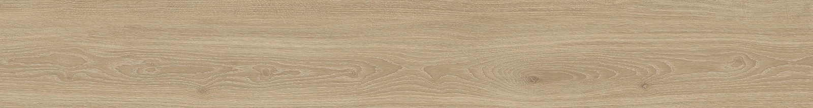 ELXR6 2015BS RM 20x150