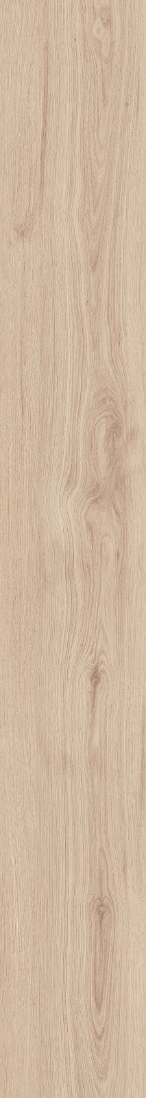 DAMA6 2015B RM 20x150