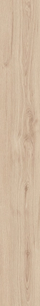 DAMA6 2015B RM 20x150