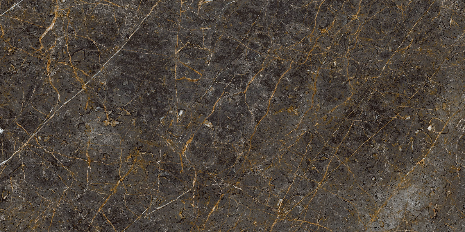 AE GOL6 12 LPM 60x120