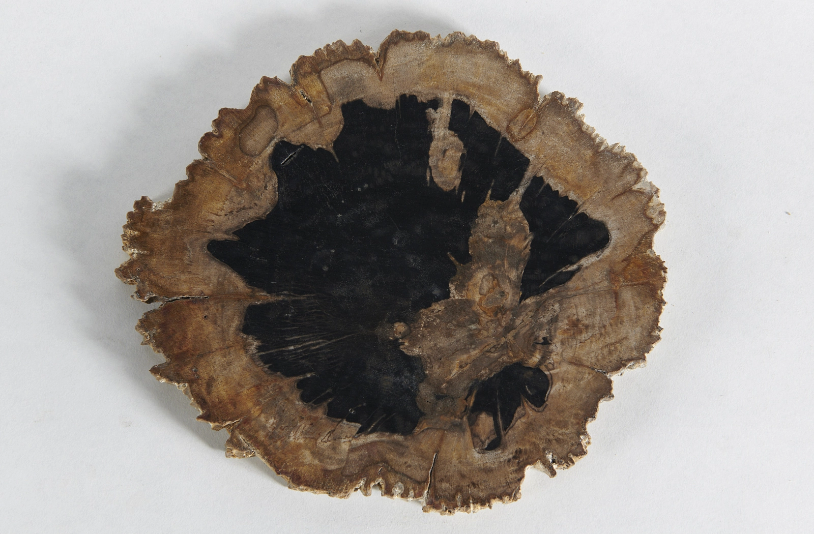 Декоративное блюдо 3P1RNM-23 23х21х2