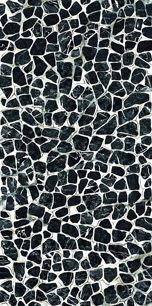 TURTLE6 12LP 60x120