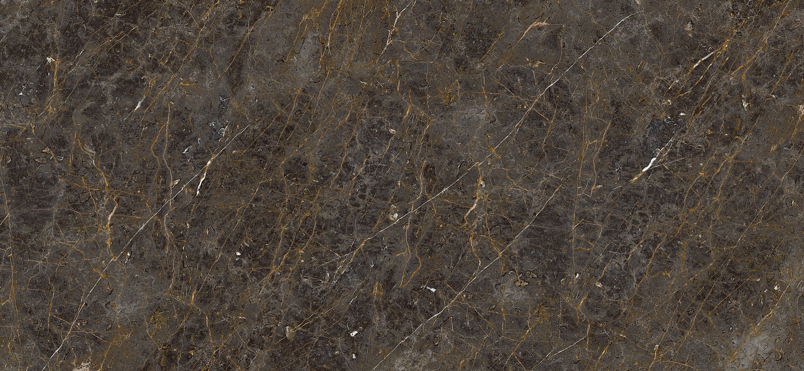 AE GOL6 260 LP 120x260