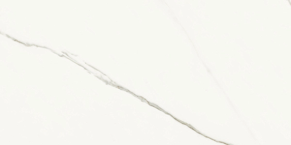 AE EXT6 12 LP 60x120