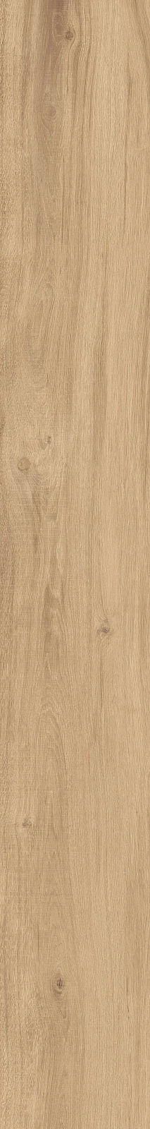 DAMA6 2015HY RM 20x150