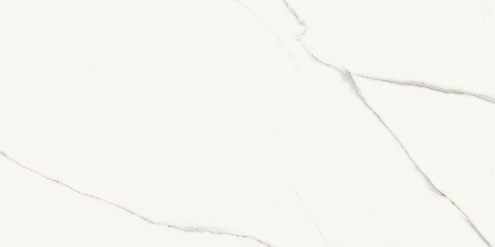 AE EXT6 12 LP 60x120