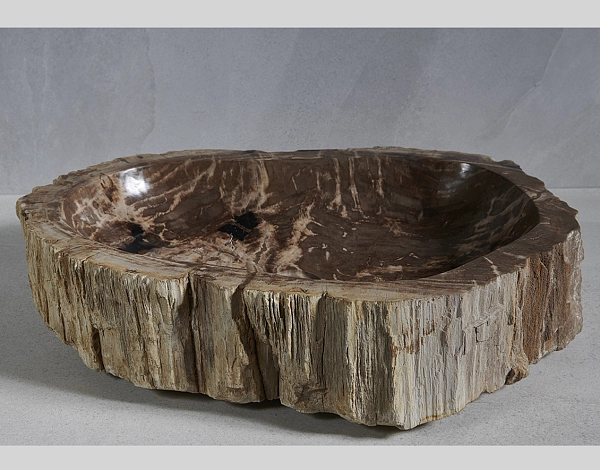 Раковина из окаменелого дерева 68x47x15