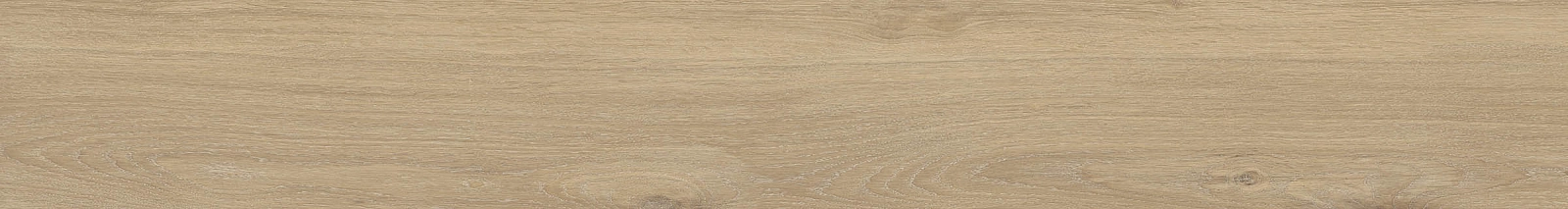 ELXR6 2015BS RM 20x150