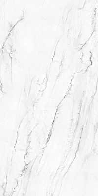 VICTORIA POLISHED 120x240