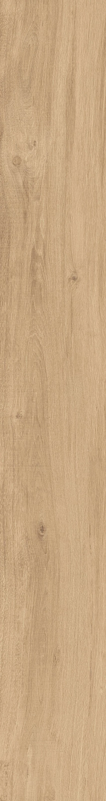 DAMA6 2015HY RM 20x150