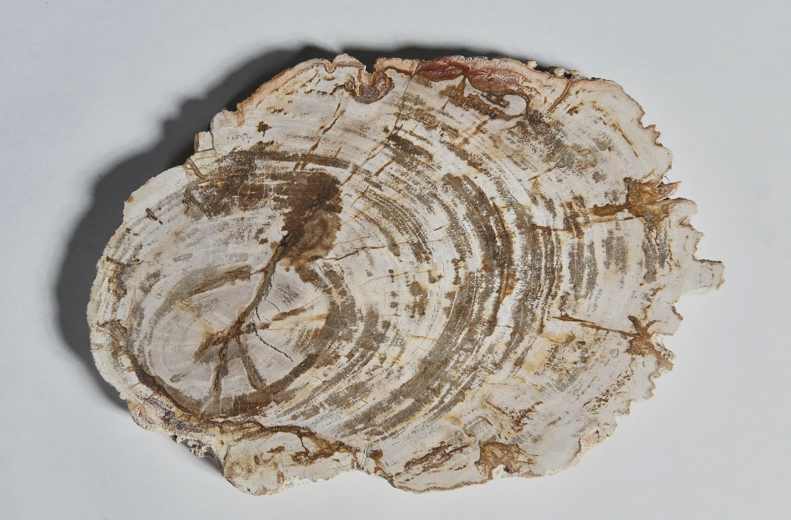 Декоративное блюдо 3P1RNM-08 33х23х2