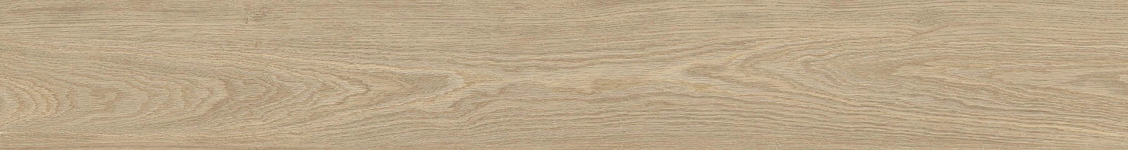 ELXR6 2015BS RM 20x150