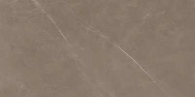 PIETRA ACTIVE GRAY 60X120