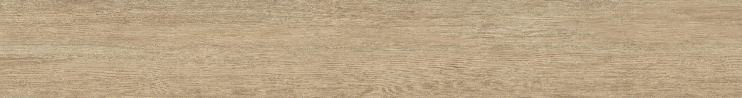 ELXR6 2015BS RM 20x150