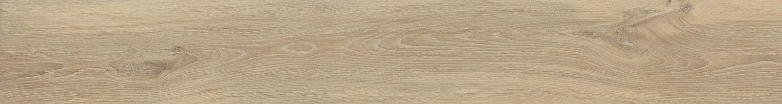 ELXR6 2015BS RM 20x150